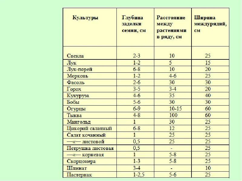 На какую глубину человек