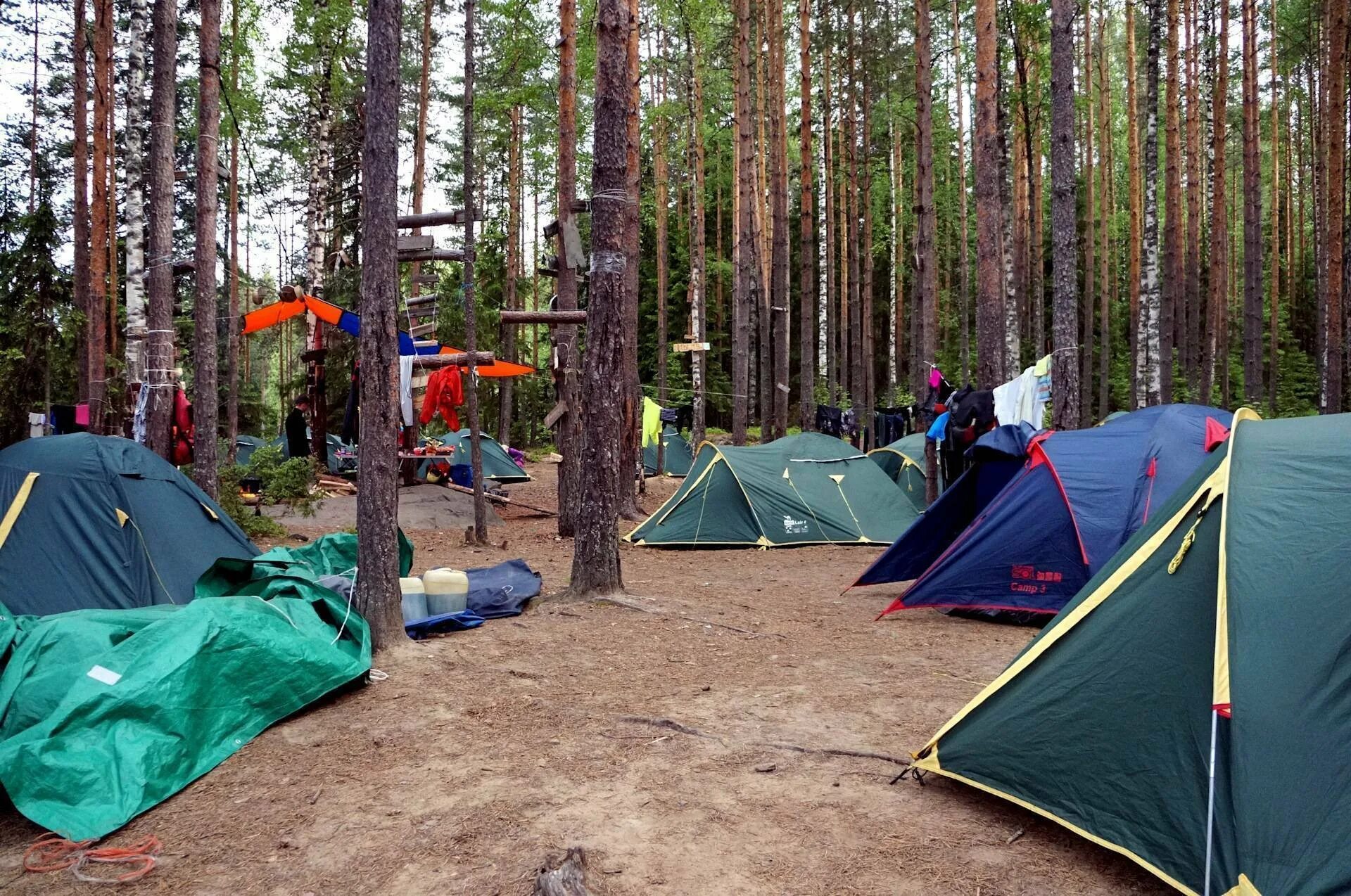 Кемпинг с палатками в ленинградской. Палаточный лагерь карелия. лагерь на кемпинг карелия. поляна увильды кемпинг. карелия палаточный городок.