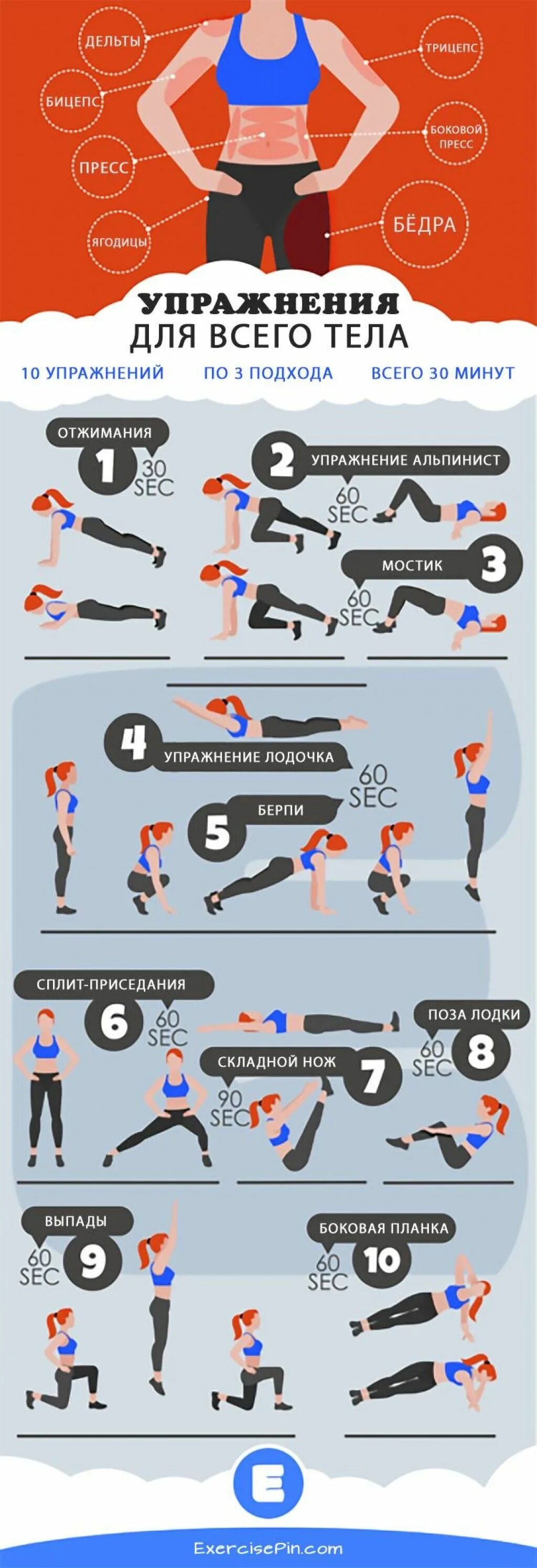 Work out exercises