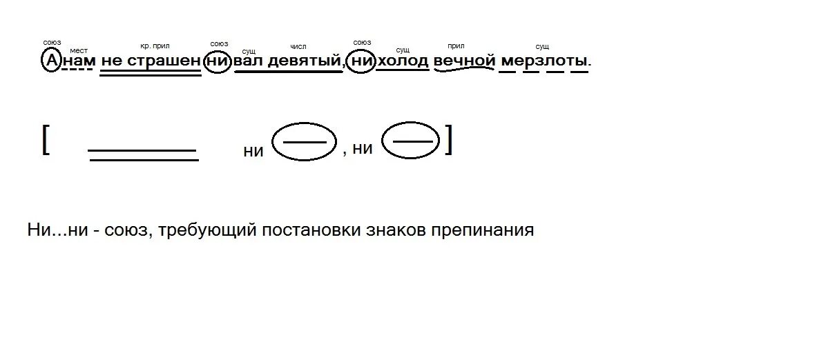 Пунктуационный разбор предложения от деревьев от кустов. Пунктуационный разбор предложения схема. пунктуационный разбор предложения образец. пунктуационный разбор предложения памятка. пунктуационный разбор предложения пример.