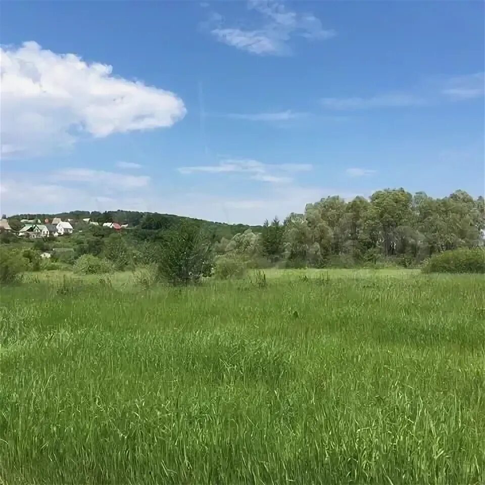 Лопатки воронежская область погода