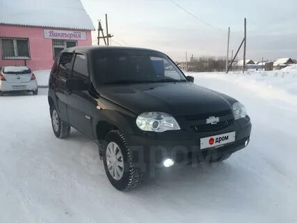Нивы дром омская область