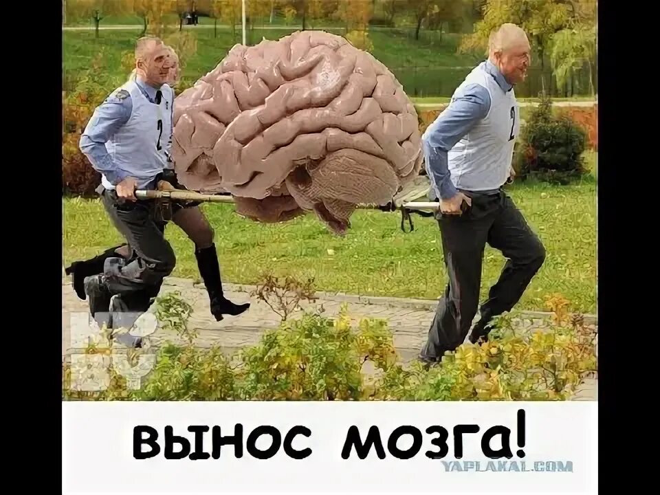 Мозги вынос мозга. Вынос мозга прикол. Игра вынос мозга.