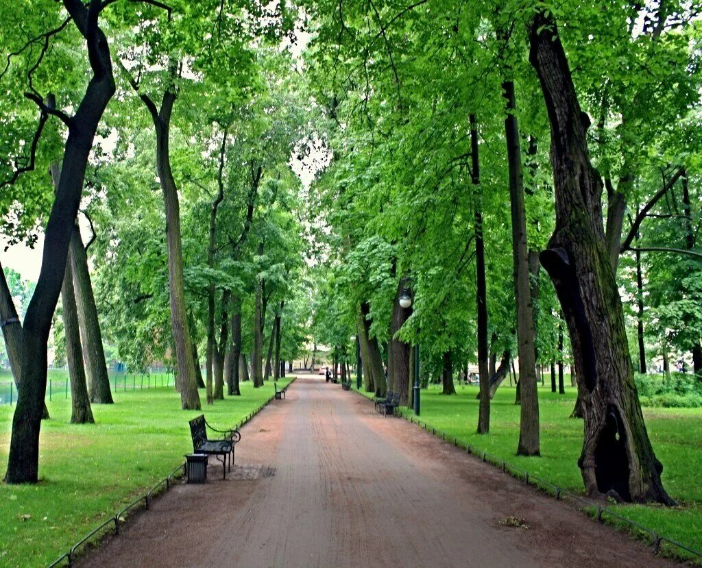 Михайловский парк в Санкт-Петербурге. Михайловский сад Санкт-Петербург. Михайловский сад аллея. Парк Питер Михайловский сад весной. Михайловский сад москва где находится