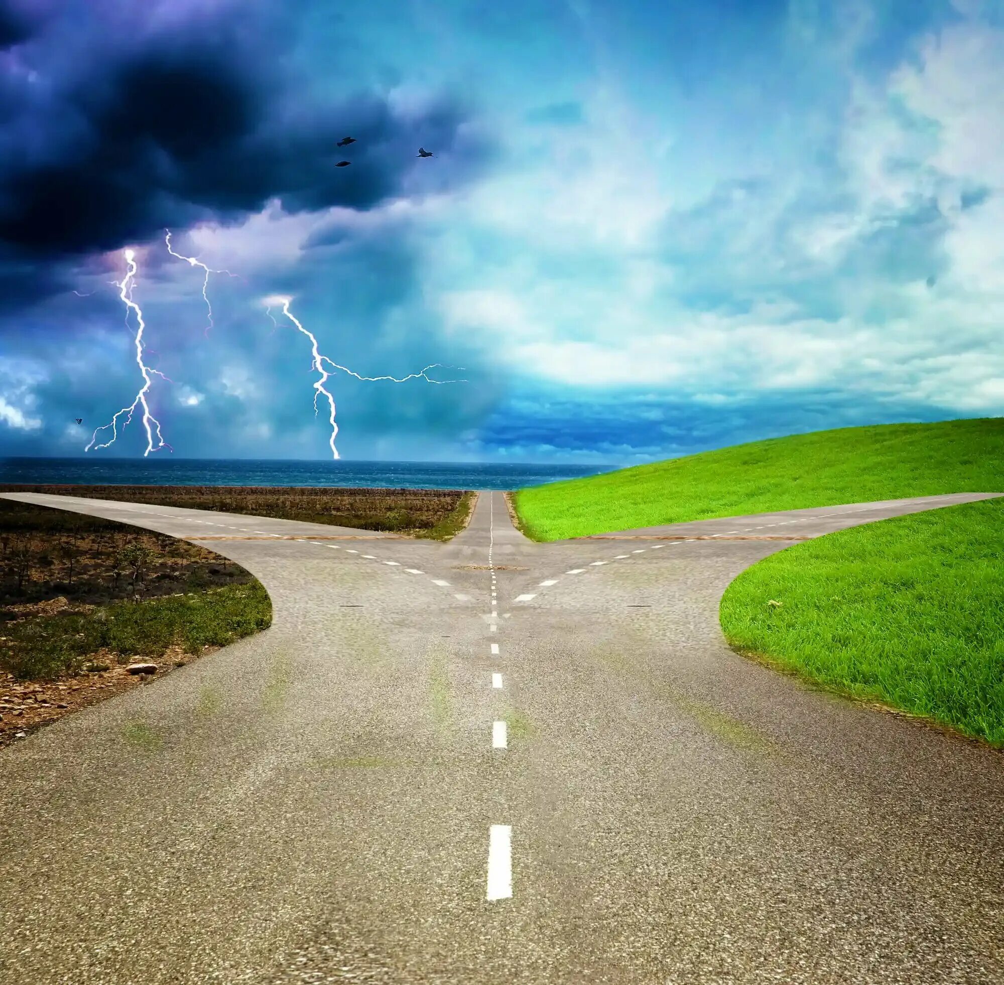 цитаты про дорогу. дороги, которые мы выбираем. дороги которые мы выбираем анализ. дороги которые они не выбирали. две дороги.