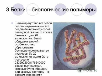 1 что представляют собой белки