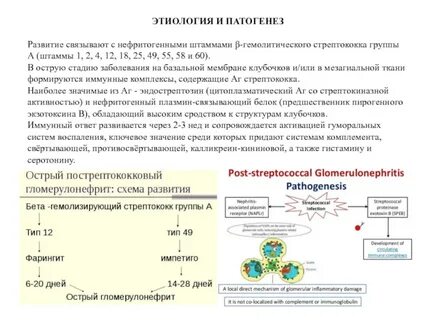 Препарат гемолитического стрептококка
