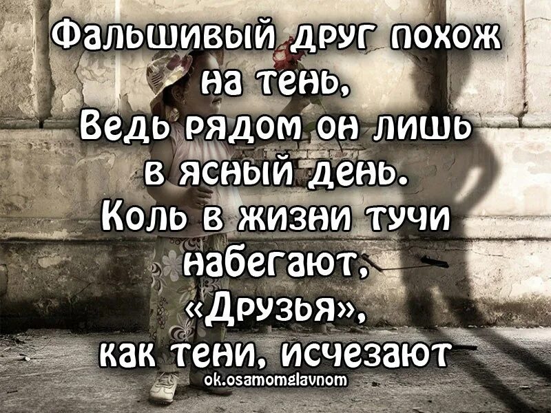 толстой каждая семья счастлива. цитаты про фальшивых друзей. фальшивый друг похож на тень он с вами только в ясный день. фальшивая дружба. фальшивые друзья.