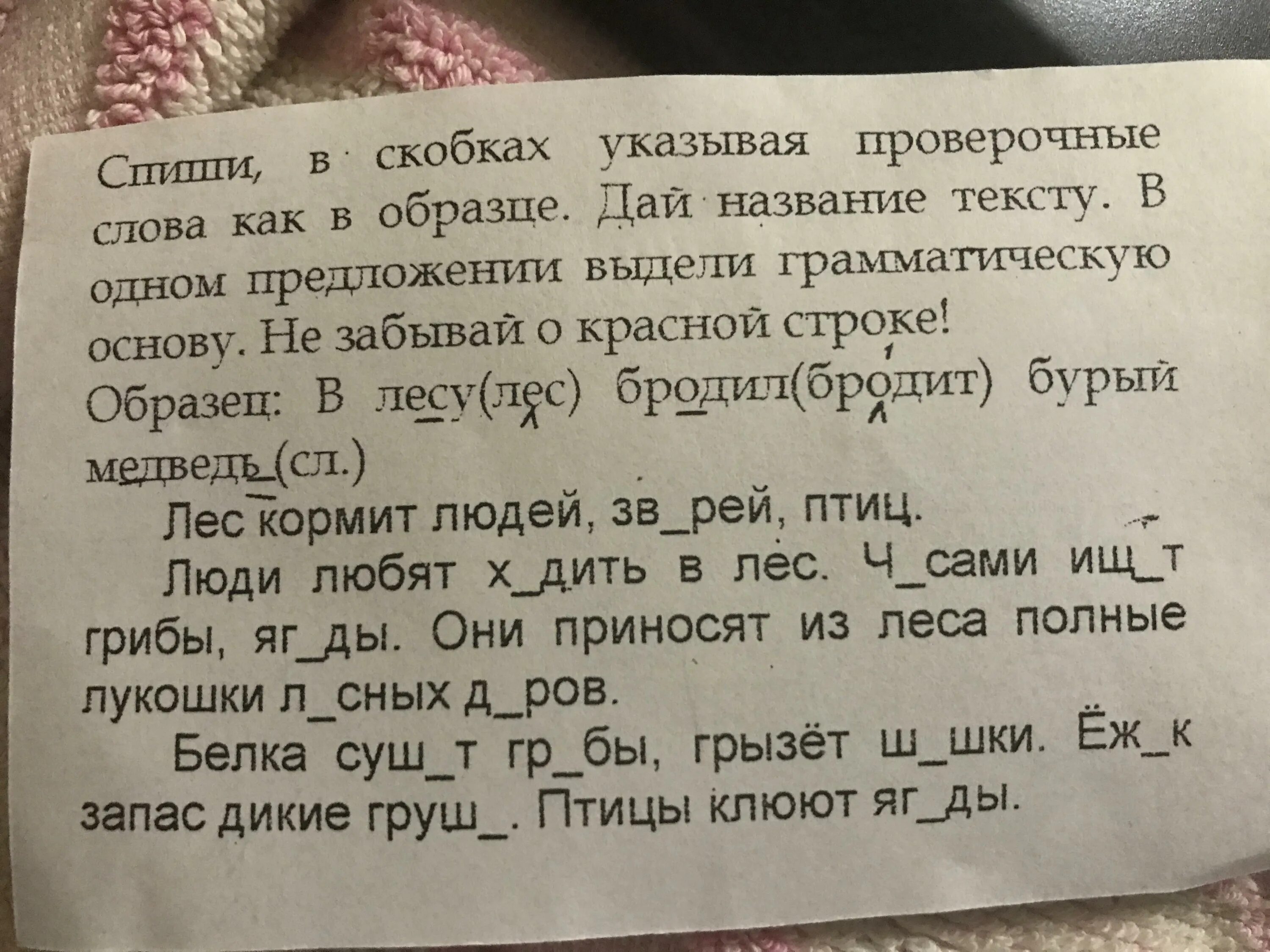 Спиши текст найди в каждом предложении. В скобках напиши проверочное слово. спиши в скобках укажи количество слов в каждом предложении. спишите проверочное слово.