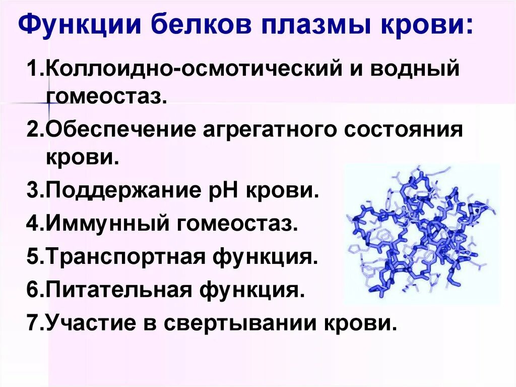 Белок плазмы крови содержащий белок. Функции белков плазмы крови. Функции белков плазмы крови биохимия. Белки плазмы крови функции. Перечислите основные функции белков плазмы крови.