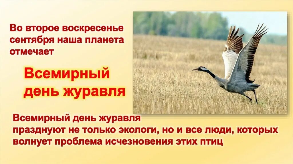 Журавль символ чего в россии. Всемирный день журавля 13 сентября. День журавля. Международный день журавля. Журавли презентация для детей.