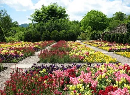 Flower garden 2