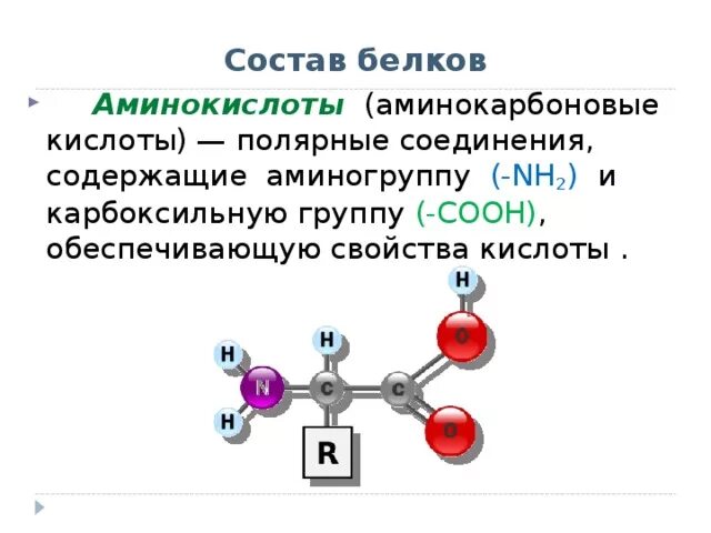 Состав карбоксильной группы. Химический состав аминокислот. Карбоксильная группа характерна для. Карбоксильная группа состоит. Как изменилось количество аминокислот