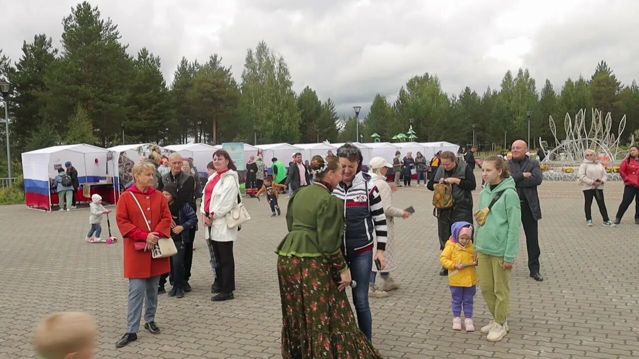 Солнечное 2 санкт-петербург. Поселок солнечное новости. Поселок солнечный тамбов. Поселок солнечное новости. Поселок солнечное новости.