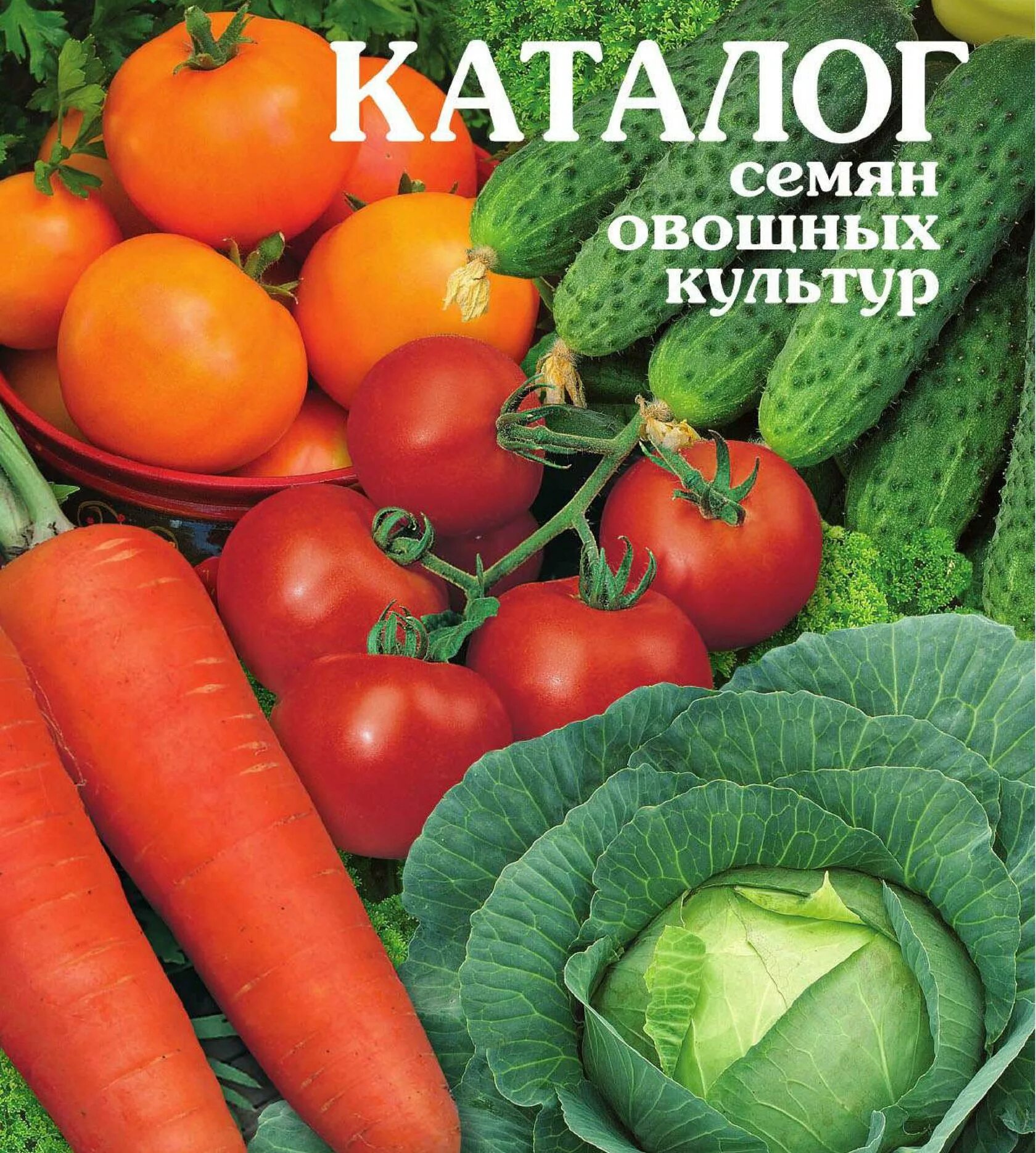 Семена овощей. Каталог семян. Каталог семян овощей. Магазин семена почтой.