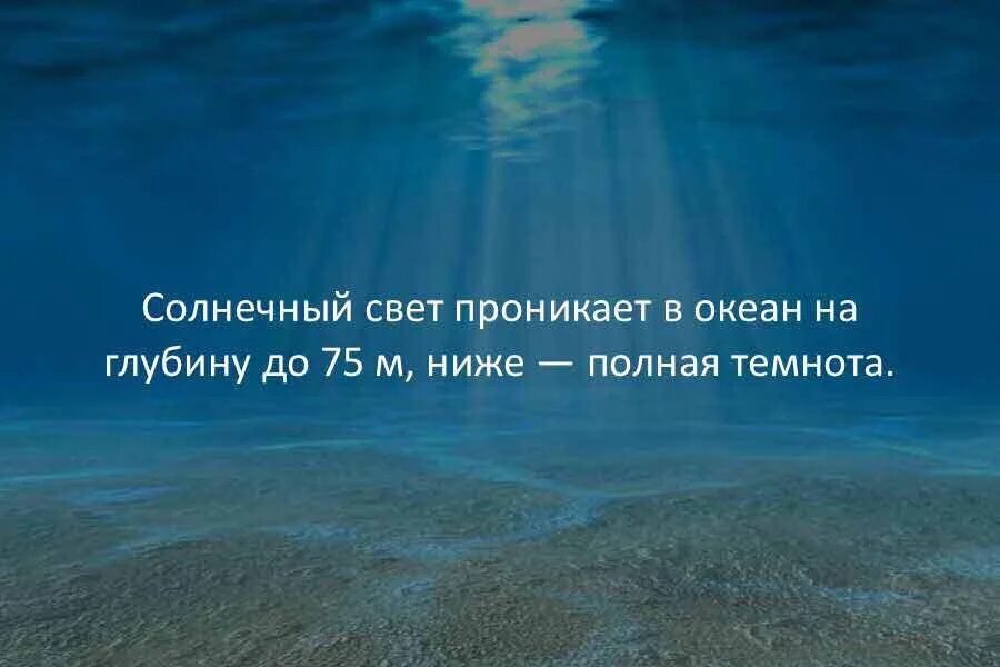 Проникнуть в глубь. Свет солнца проникает в океан. Свет проникает на глубину. Свет проникает в воду на глубину. Свет в глубине.