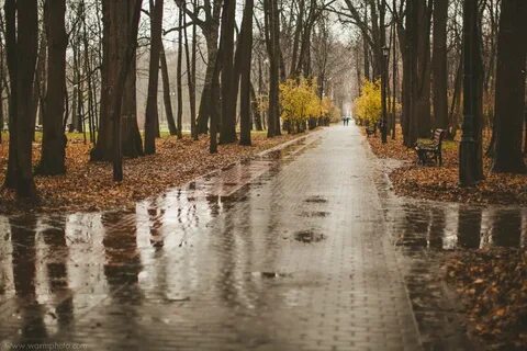 Осень стояла холодная