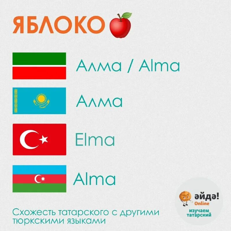 татарский казахский турецкий язык. тюркские слова. слова на башкирском языке с переводом. азербайджанский тюркский язык. татарский казахский турецкий язык.