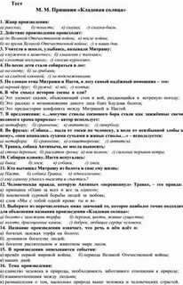 Кладовая солнца проверочная работа 5 класс
