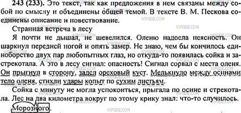 Определите основную мысль текста не повезло осине. Русский язык 5 класс 243. Пятый класс русский язык номер 243. Домашнее задание по русскому языку упражнение 243. Прочитай историю рассказанную в Песковым докажите.