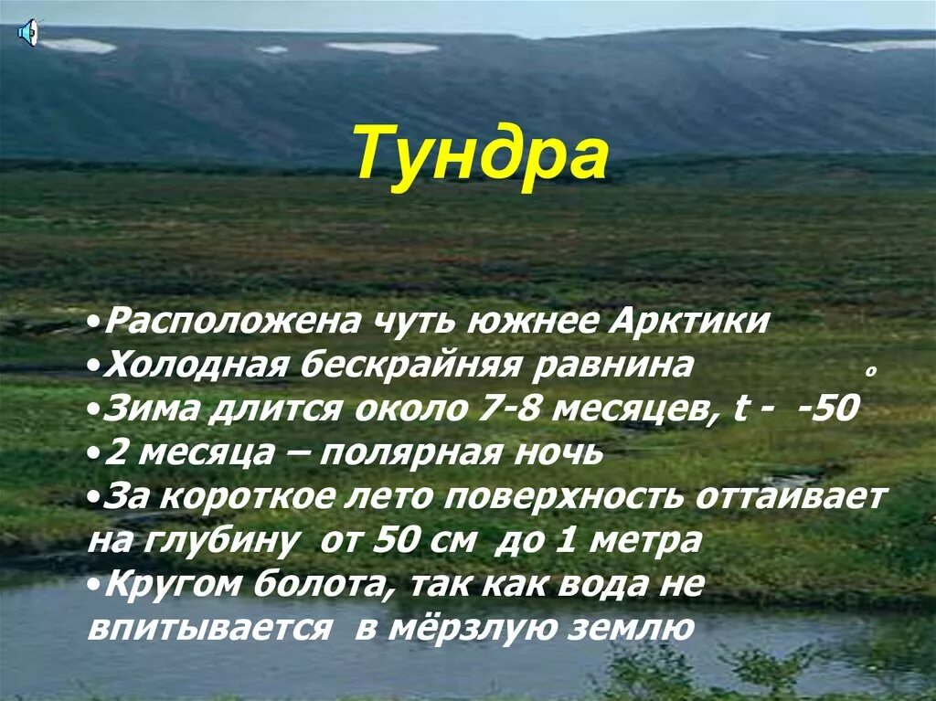 В тундре господствуют. Тундра. Тундра 4 класс окружающий мир. Проект про тундру. Что такое тундра рассказать.