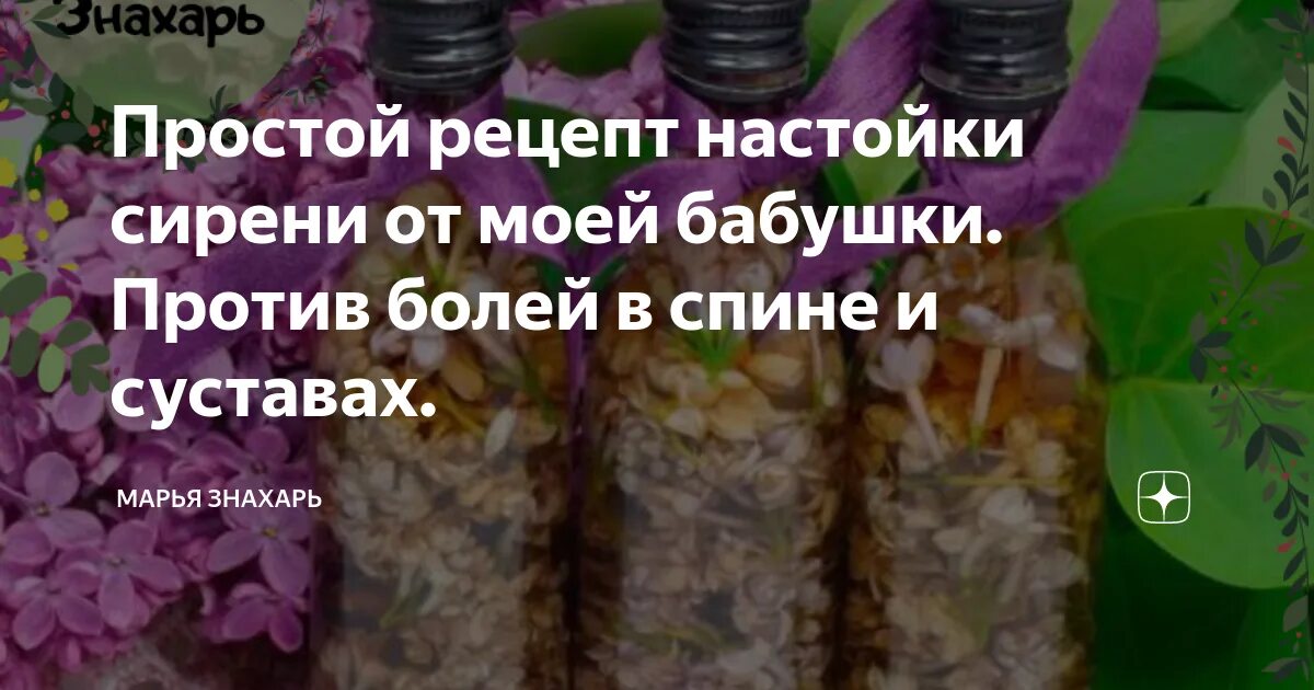 Рецепты знахарей. Настойка из сирени для суставов. Сирень в народной медицине рецепты.