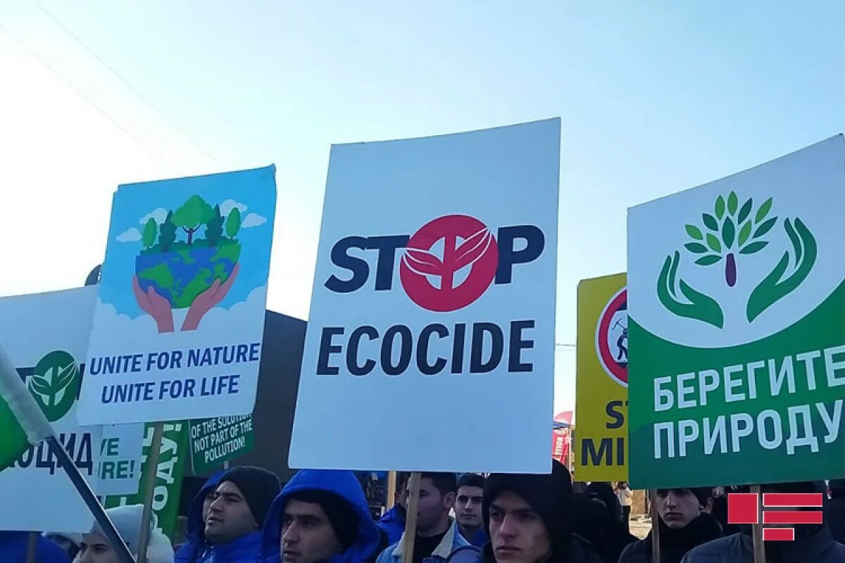 Эко тема в иллюстрации. Экология активистка. Зеленые технологии. Экологический фон. Радикальный экоактивизм.