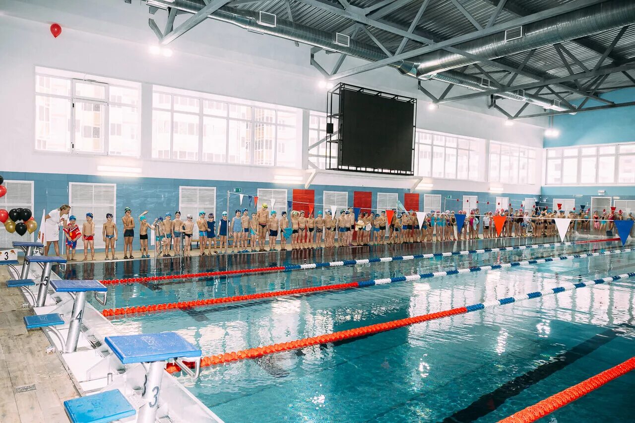 бассейн воронежский вгу внутри. бассейн вгу на московском проспекте воронеж. бассейн вгу воронеж. бассейн вгу воронеж московский проспект 88. воронеж московский проспект 88 1 бассейн вгу.