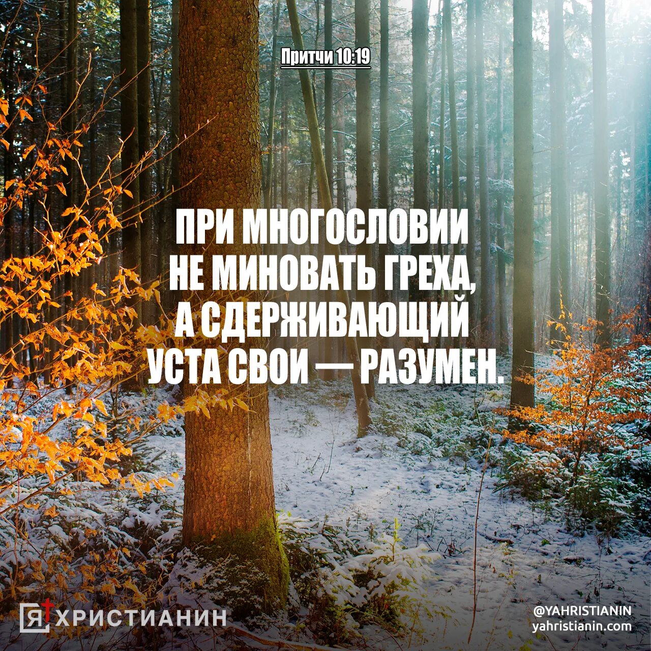 Стихи из Библии притчи. Притчи из Библии о жизни. Гл. 22 притчи Соломона. Притча о грехах. Притча отдавать