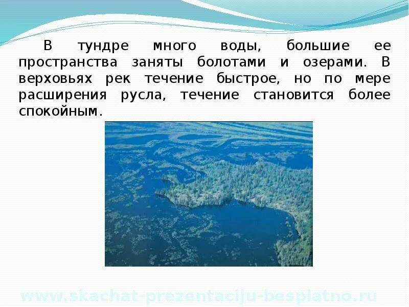 Воды тундры в россии. Воды тундры. Внутренние воды тундры в России. Климат и внутренние воды в тундре. Воды реки озера тундры.