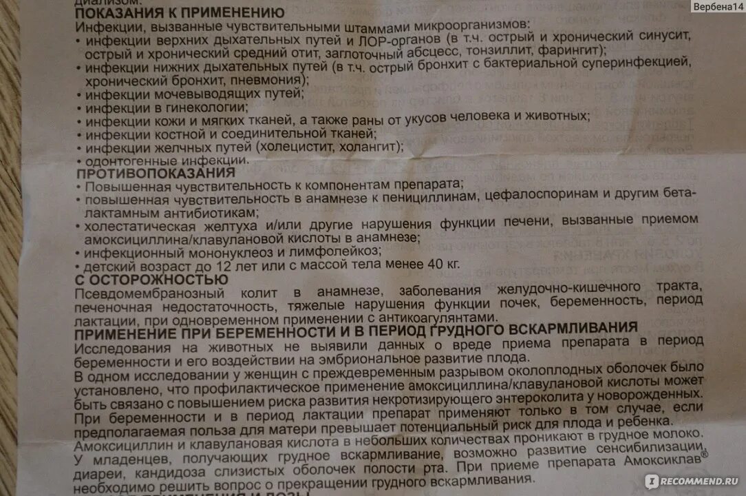 Амоксиклав принимать до или после еды таблетки. Амоксициллин показания к применению. Амоксициллин фармакологический эффект. Амоксиклав нежелательные эффекты.