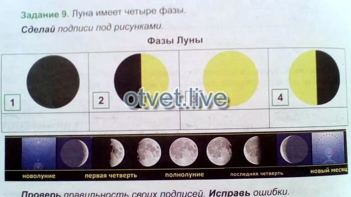 Тест луна 1 класс. Фазы Луны новолуние первая четверть полнолуние последняя четверть. 4 Фазы Луны. Фазы Луны задания для детей. Луна в последней четверти рисунок.