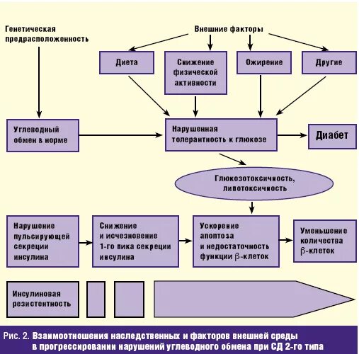 Схема передачи сахарного диабета. Диабет 2 типа наследственность. Сахарный диабет Тип наследования заболевания. Тип наследования при СД 1 типа. Диабет наследственная болезнь