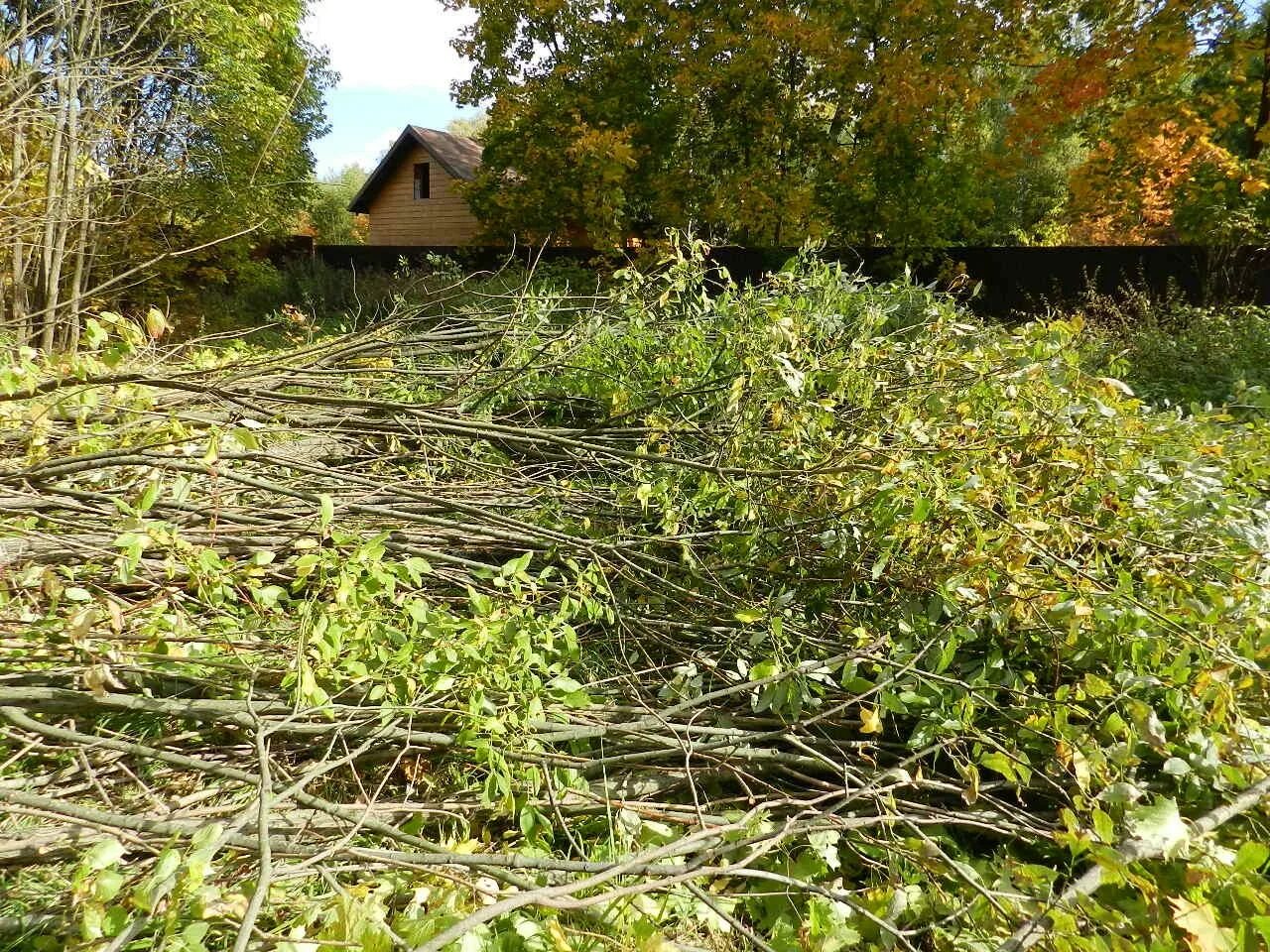 Очистить участок от кустарников. Вырубка кустарника. вырубка кустарника и мелколесья. очистка участка от деревьев и кустарников. расчистка участка от кустарников.