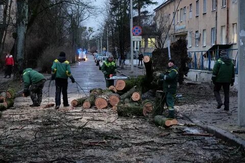 Герхильд предатель