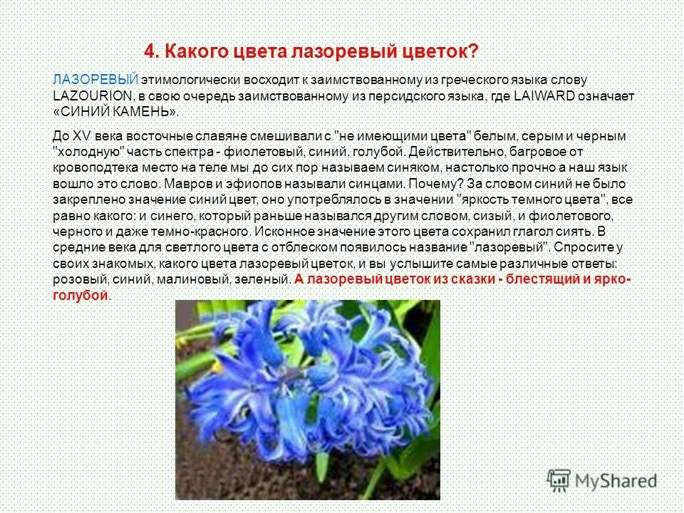Синие розы значение на языке цветов. Психология цветов синий. Что значит синий цветок. Психология синего цвета для человека. Голубые розы на языке цветов.