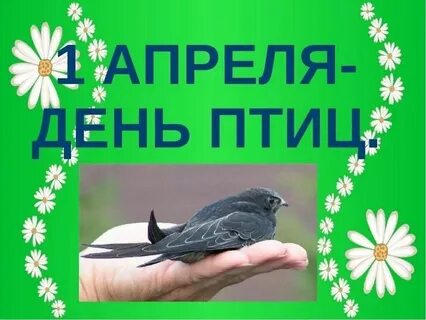 День птиц 2023 году
