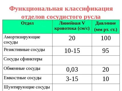 Классификатор отделов