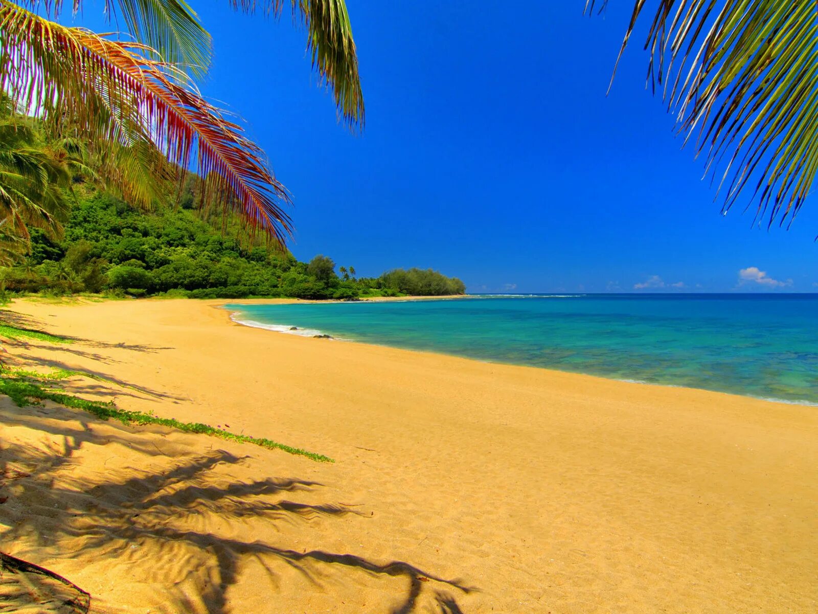 Фотообои стола. Красивый пляж. Море пляж. Тропический пляж. Пляж фон.