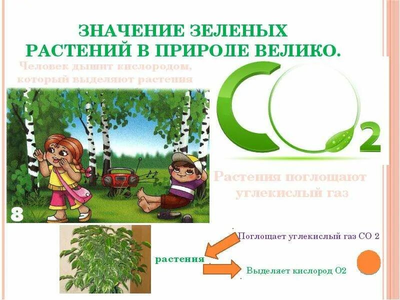 Значение зеленых растений в природе.. Растения значение в природе и народном хозяйстве. Значение зел растений в природе и жизни человека. О значении зеленого мира природы для человека