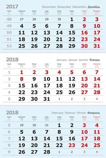 5 неделя 2019