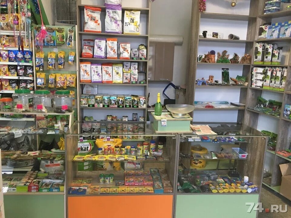 Выкладка товара в зоомагазине. Зоомагазин тихвин. Зоомагазин сафоново. Зоомагазин тихвин. Динозаврик магазин для животных.