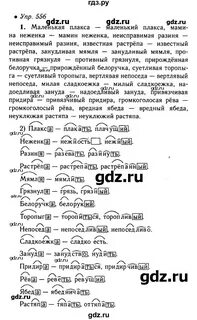Упражнение 556 5 класс