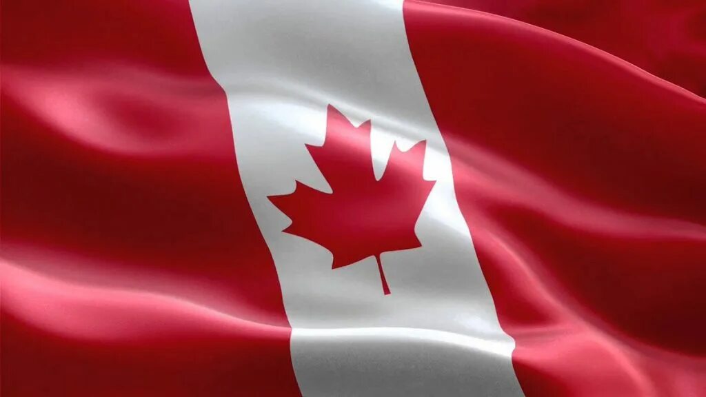 Канада ли. Флаг Канада. Флаг флаг Канады. Флаг французской Канады. Флаг Канады флаг Канады.