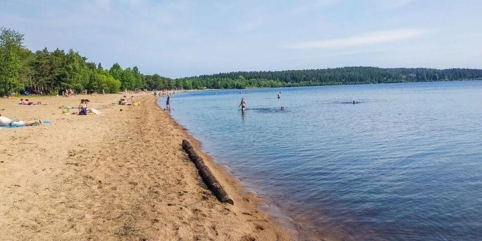 Карелия купаться. Пляж на Онежском озере, Пески Петрозаводск,. Пляж Солнечный Сортавала. Петрозаводск пляж на Онежском озере. Озеро Четырехверстное Петрозаводск пляж.