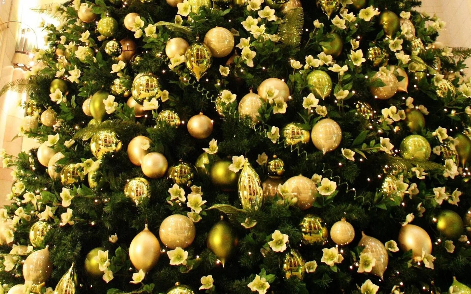 Зеленый золотой шары. Новогодняя елка с золотыми игрушками. Елка Новогодняя украшенная. Елка с зелеными шарами. Новогодняя елка с зелеными шарами.