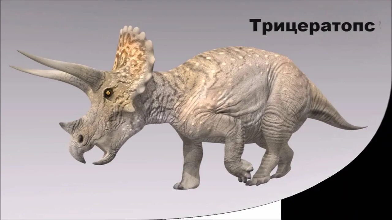 Как зовут динозавра