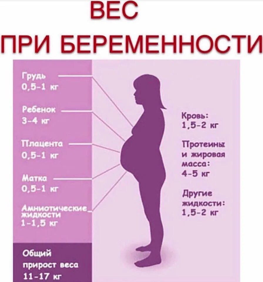 Почему при беременности быстро. Норма прибавки веса при беременности по неделям 2 триместр. Набор веса при беременности. Набор веса прибеременностм. Норма набора веса при беременности.