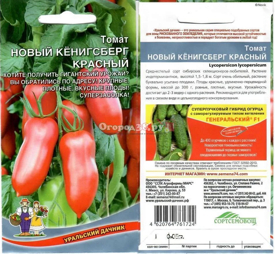 Сорт помидоров Золотой Кенигсберг: Фотоподборка Эко-фокус Фотогалерея природы на