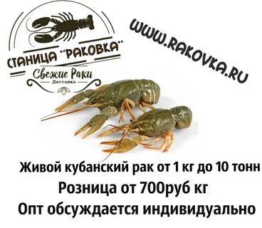 Раки волгодонск